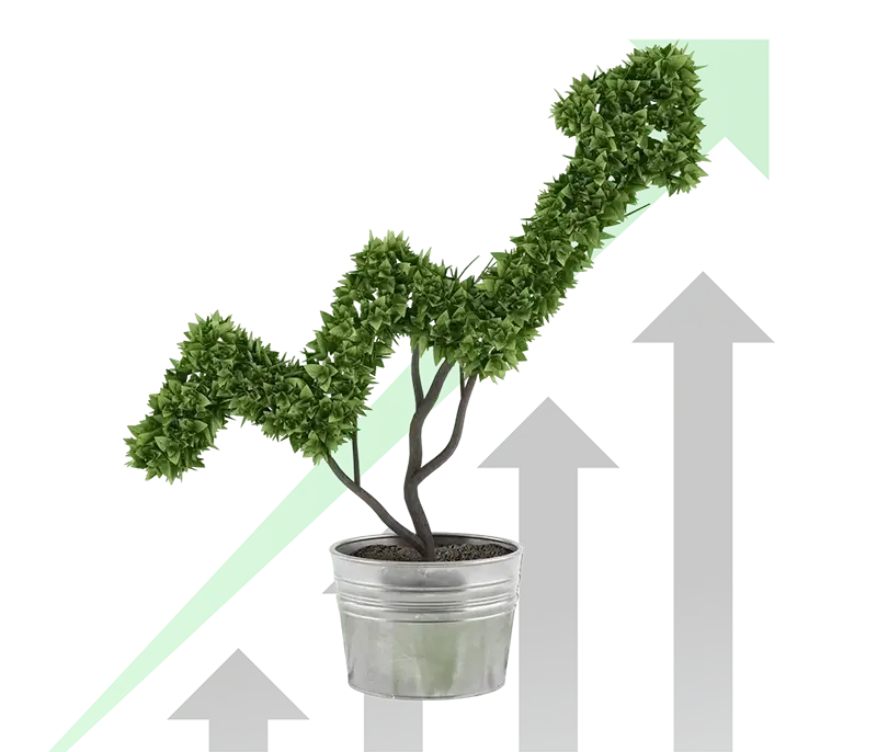 Growth web design agency